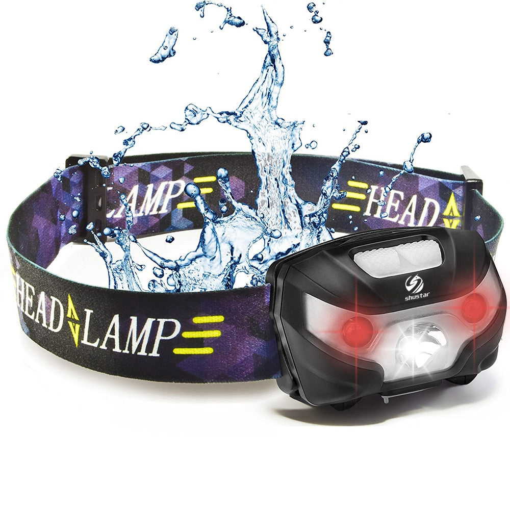 LED Headlamp - Bearded Lion