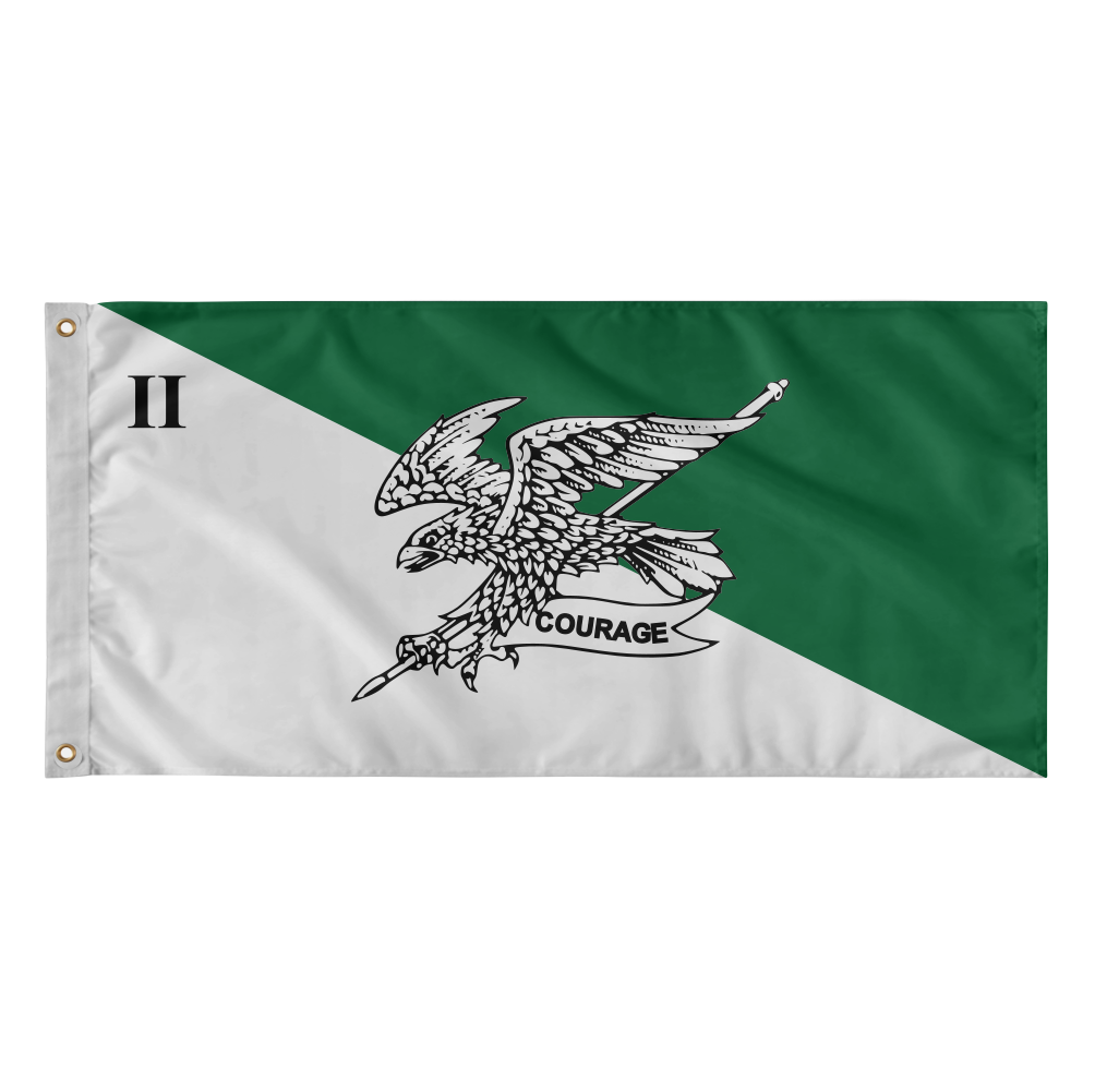 2nd Cavalry Regiment (2 CAV) - BL TAC