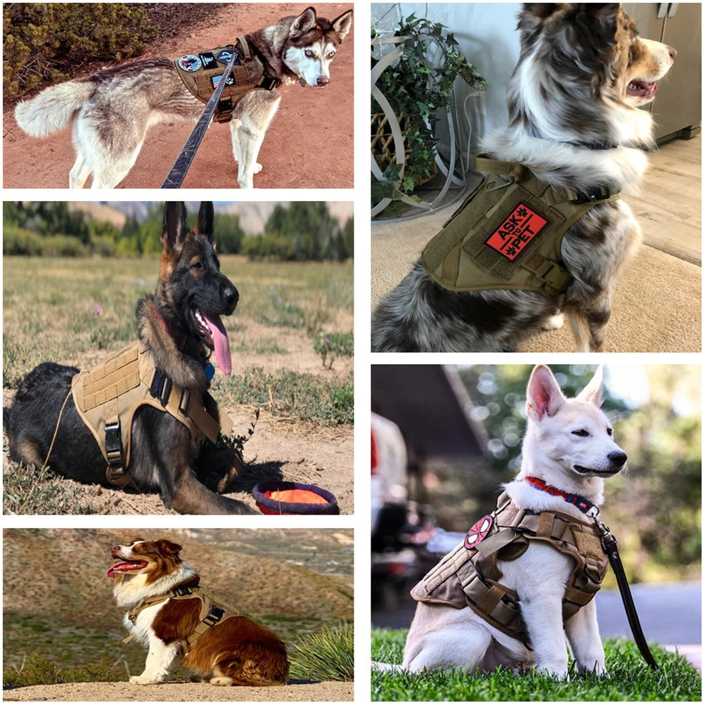 Adjustable Dog Harness