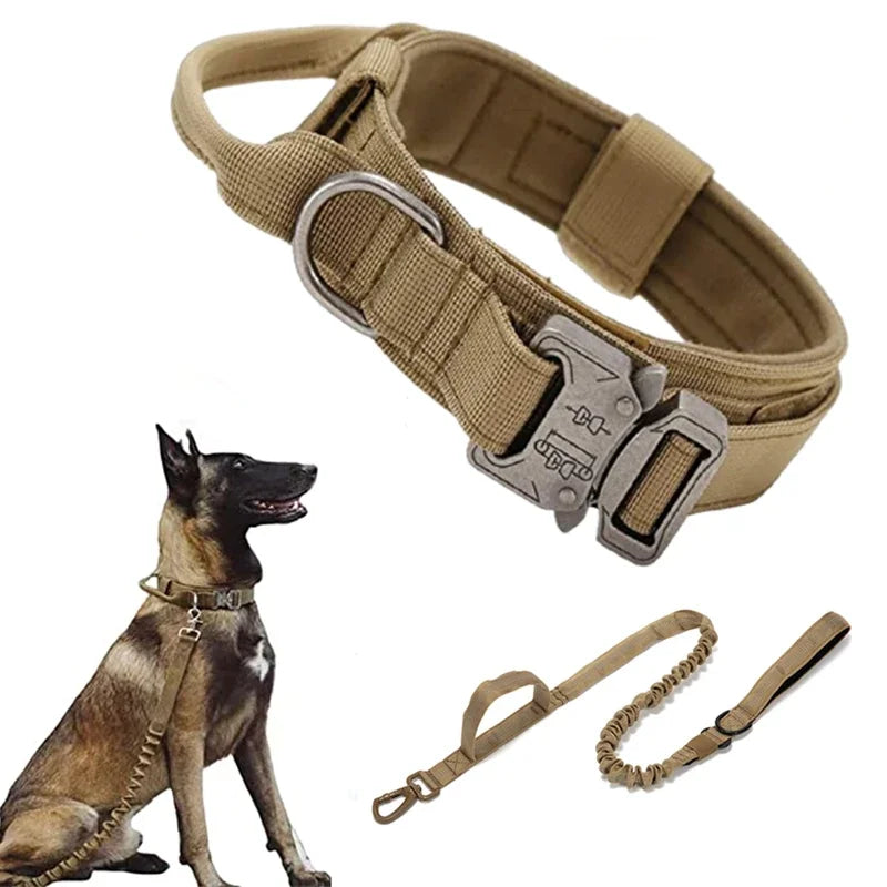 Heavy Duty Dog Collar - BL TAC