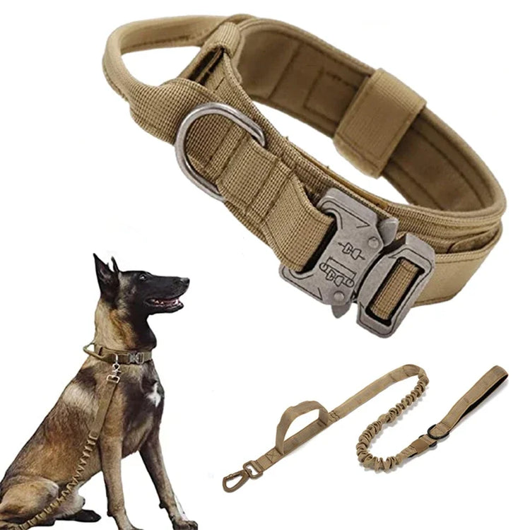 Heavy Duty Dog Collar - BL TAC