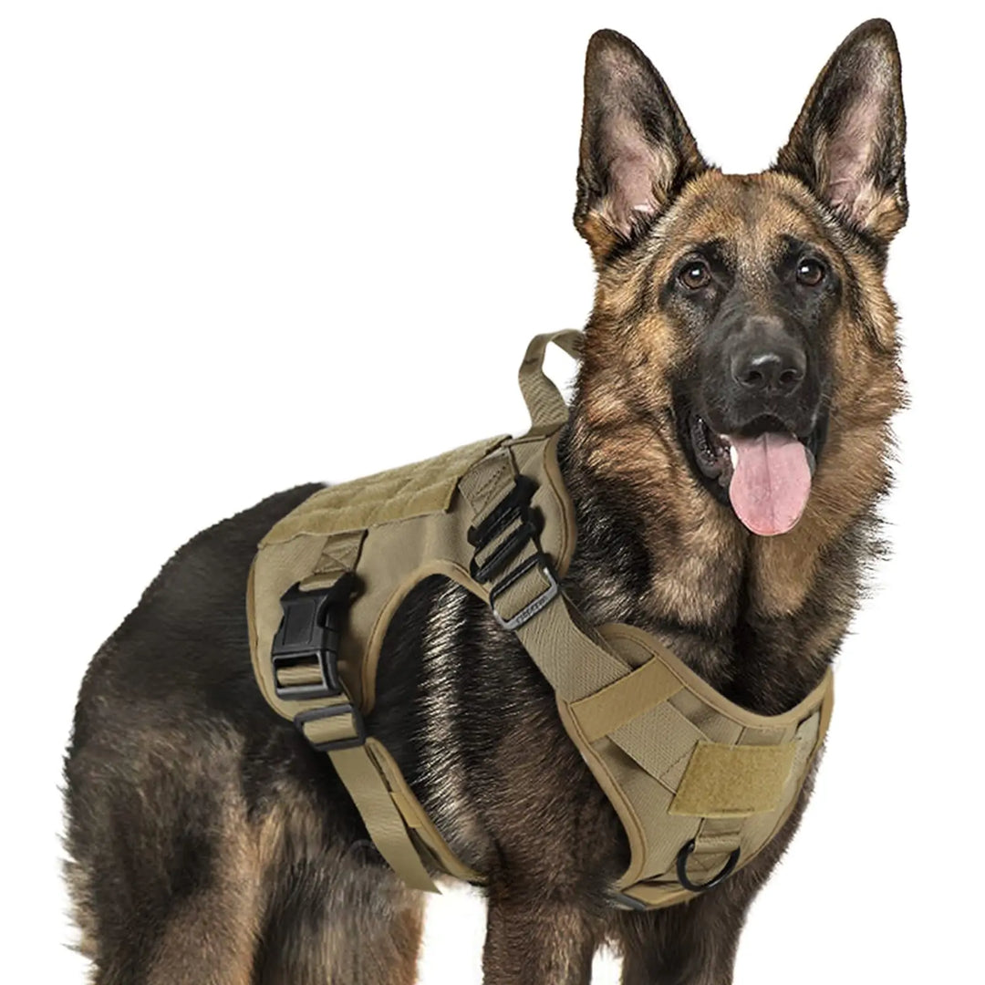 Adjustable Dog Harness