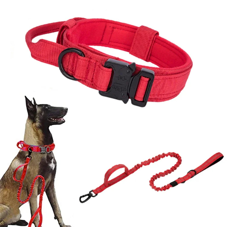 Red dog collar and leash set with a dog wearing them on a white background