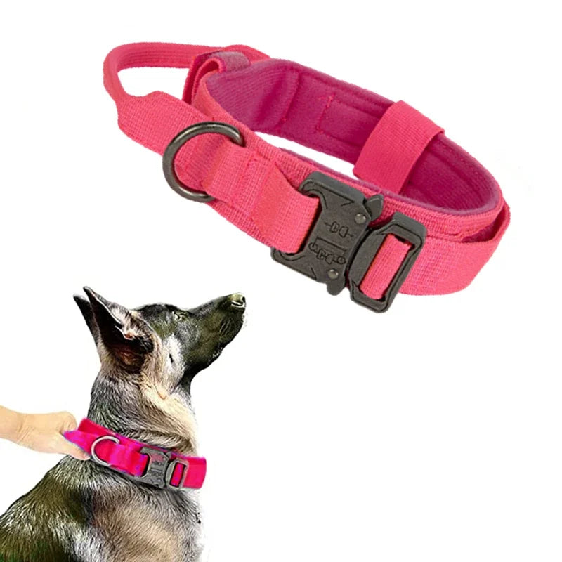 Pink dog collar with a black buckle on a white background