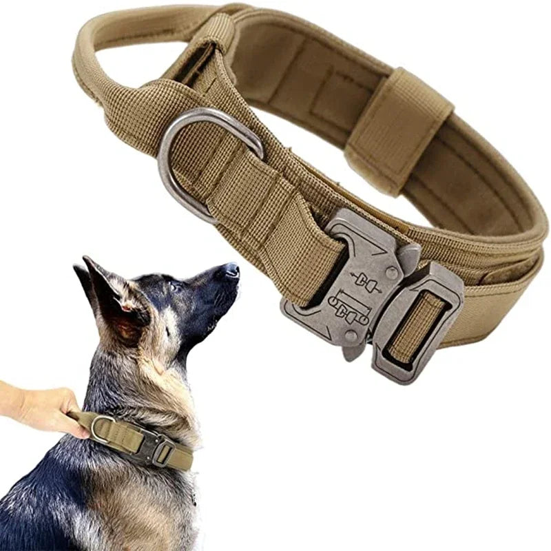 Tactical dog collar with a metal buckle on a white background