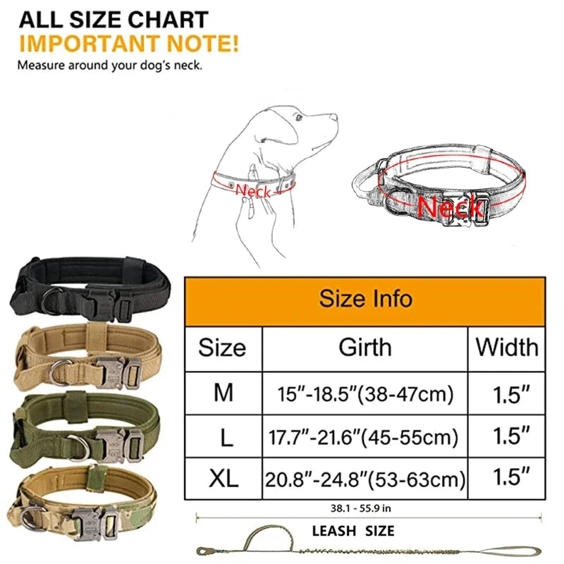 Dog collar size chart with measurements and illustrations on a white background