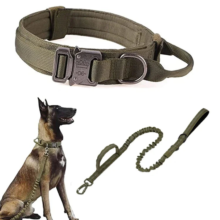 Olive green dog collar and leash set with a dog wearing the collar on a white background