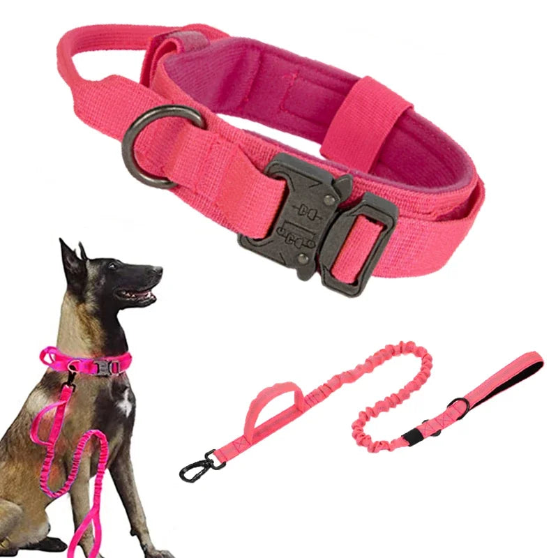 Pink dog collar and leash set with a dog wearing the collar on a white background
