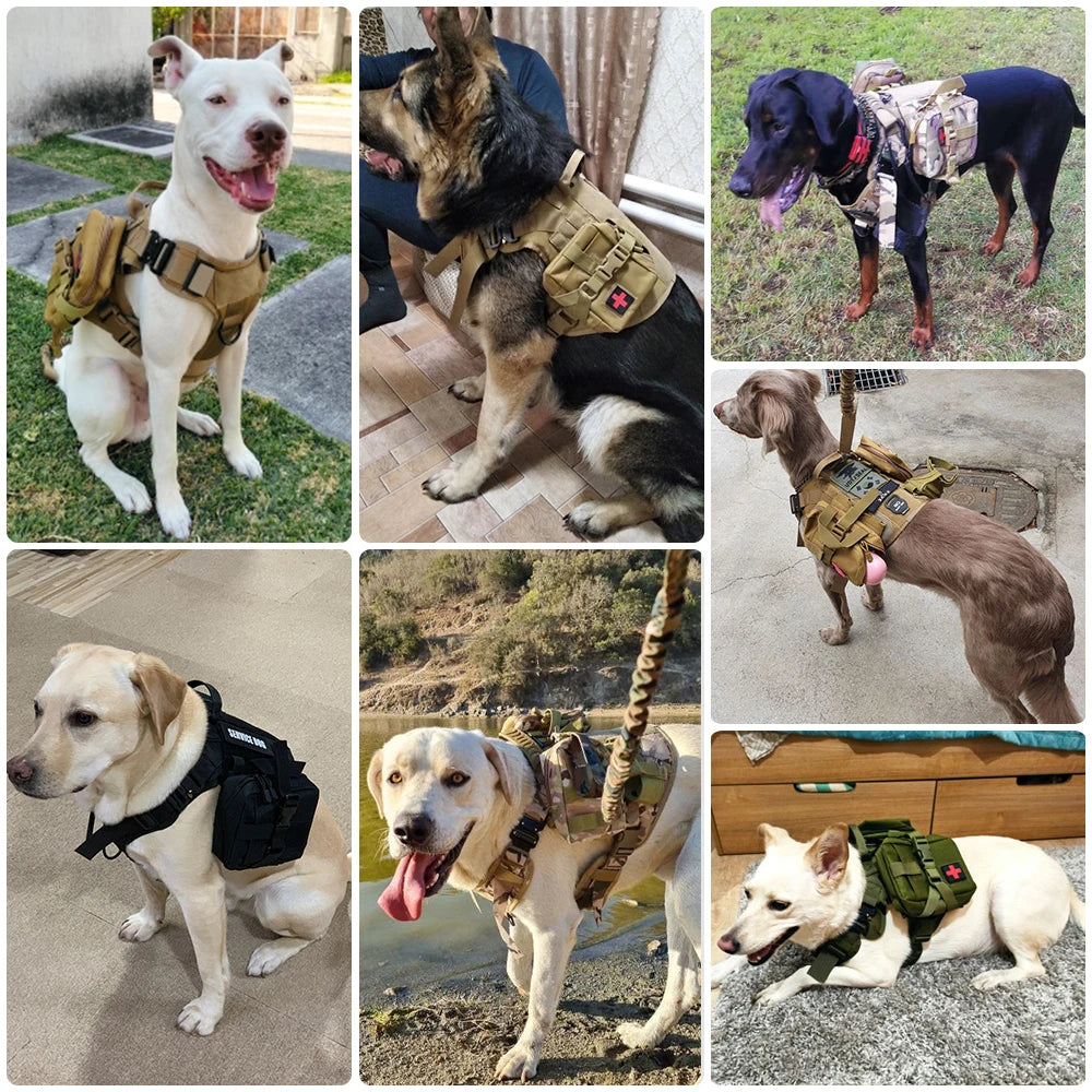 Adjustable Dog Harness