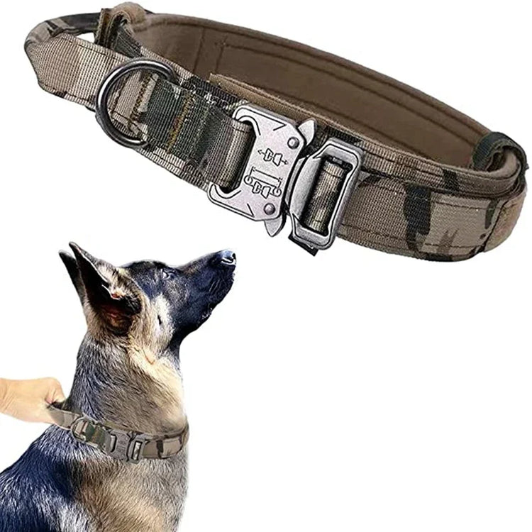 Camouflage dog collar with metal buckle on a white background