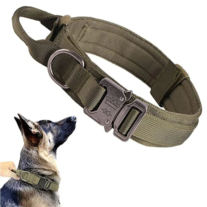 Olive green dog collar with metal buckle on a white background