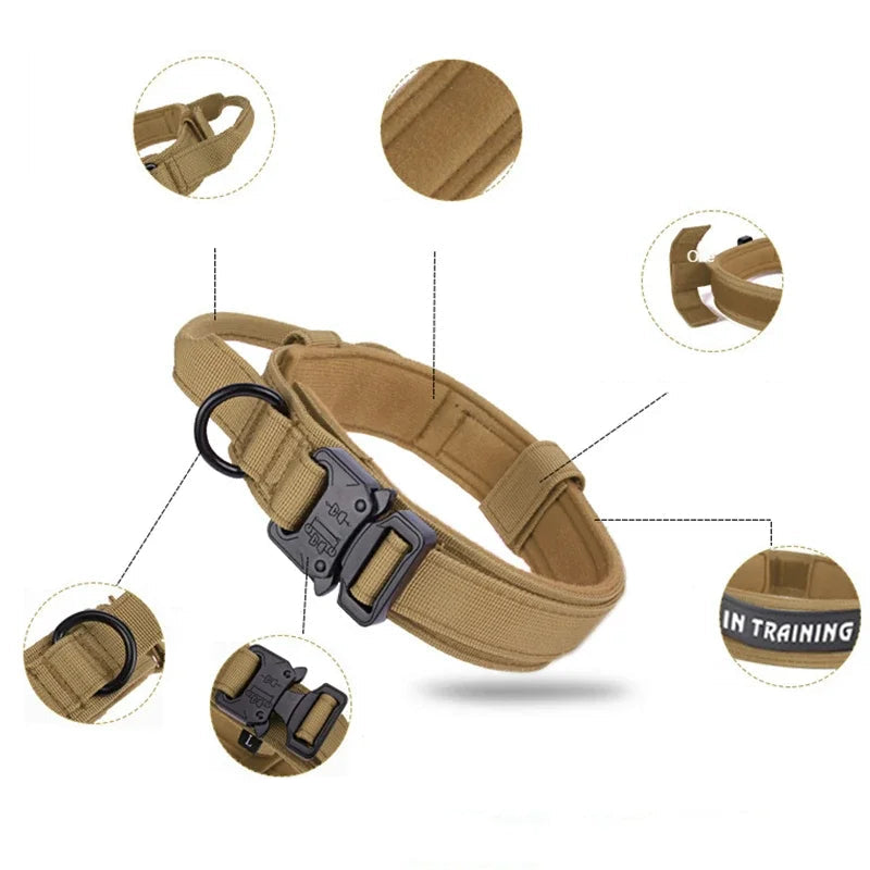 Coyote brown dog collar with features highlighted on a white background