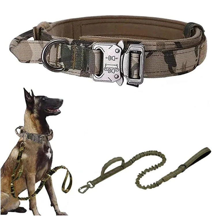 Camouflage dog collar with metal buckle, dog wearing the collar, and separate leash on a white background