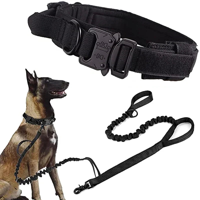 Black dog collar and leash set with a dog wearing the collar on a white background