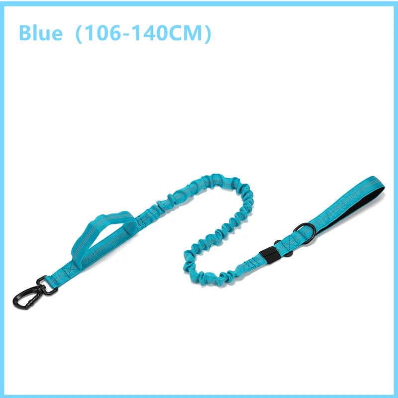 Blue dog leash on a white background with size information.