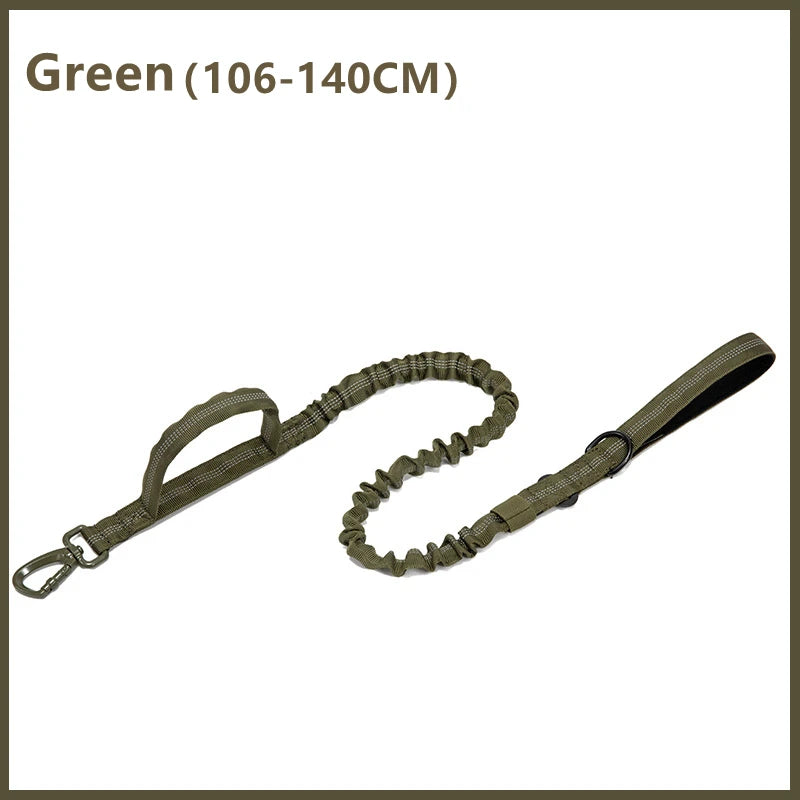 Green dog leash with bungee feature on a white background