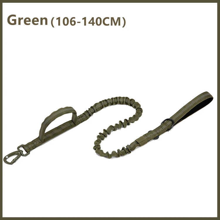 Green dog leash with bungee feature on a white background