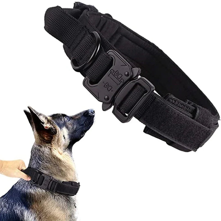 Black dog collar with a dog wearing it on a white background